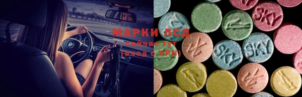 кокс Аркадак