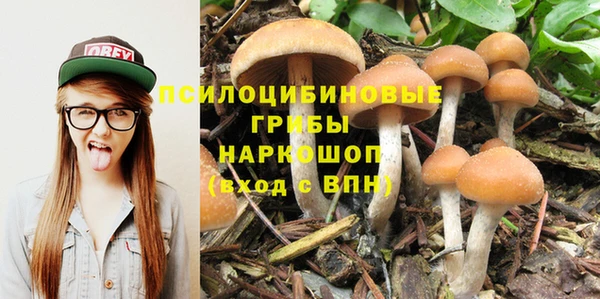 дурь Арсеньев