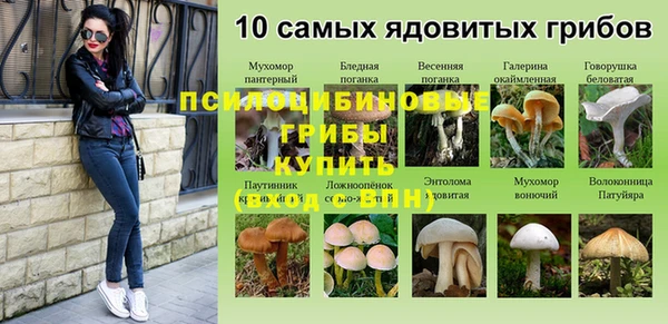 дурь Арсеньев