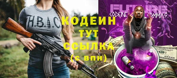 дурь Арсеньев