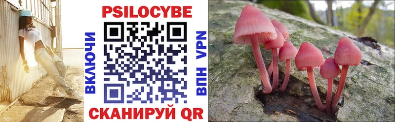 Купить  Ейск  Псилоцибиновые грибы GOLDEN TEACHER 